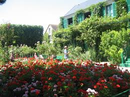 Image result for foto muškáty