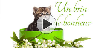 De quoi plonger dans un océan de senteurs et d'air frais. Images Bouquet De Muguet Gratuites Popular Century