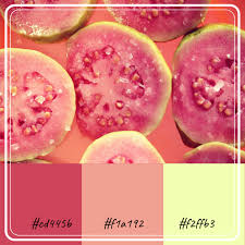For use with the procreate app. Color Combinations Inspired By Fruits Turbofuture