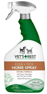 How To Kill Fleas In 2020 And Get Rid Of Them Forever From Your House Dogs Cats