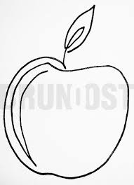  17 Drawing Flora Fauna Ideas Pensel