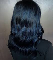 Unlike with other types of dyes, gentle treatments like color oops and hot oil will not work to remove it. Best Blue Black Hair Dye A Must Try Thing To Do This Summer