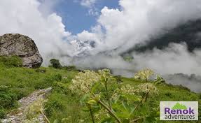 Maybe you would like to learn more about one of these? What S The Best Time To Visit The Valley Of Flowers Renok Adventures