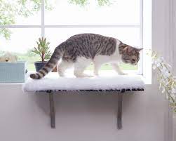 Let your little felines have the comfort and luxury while keeping them safe with the zone tech pet cat window hammock. Tucker Murphy Pet 2 Turk Window Seat Cat Perch Reviews Wayfair