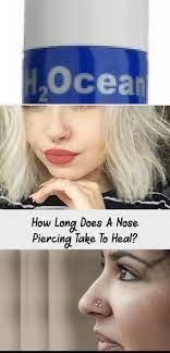 How Long Does A Nose Piercing Take To Heal Piercing Every Type Of Piercing How Long Does A Nose Piercing Take Nasenpiercing Nasen Piercing Piercing