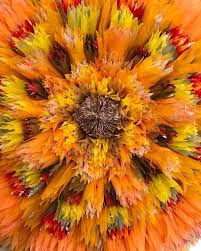 Nb please abide by the terms of @instagram if you like my pictures 🕊thanks www.homofaberguide.com. Amazing Paper Flowers By Marianne Eriksen Scott Hansen Zhurnal Yarmarki Masterov