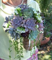 There are many succulent sellers on etsy, and we narrow down the best ones here. Succulent Wedding Bouquet Succulent Bouquet Wedding Succulent Bouquet Wedding Bridal Bouquets