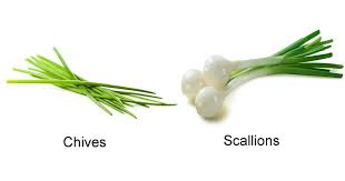 They are mainly snipped raw and added to dishes to give the dish an oniony flavor without having to add onion pieces to it. Chives Vs Scallions Tastessence
