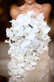 Picking wedding bouquets isn't easy unless you're actually a florist. Stunning And Classic All White Cascading Bouquet By Amaryllis Inc Orchid Bouquet Wedding Winter Wedding Bouquet Flower Bouquet Wedding