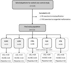 Flowchart Of The Study Population Eope Early Onset