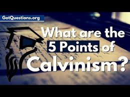 what is calvinism