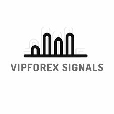 What you will learn in the complete cryptocurrency course: Best Free Forex Signals Channel Provider In Telegram 2020 2021 With Best Trading Experts Forex Signals Forex Forex Brokers