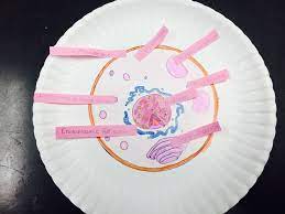 Check spelling or type a new query. Paper Plate Animal Cell Cells Project Animal Cell Project Paper Plate Animals