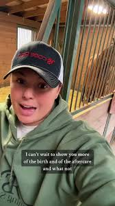 Trudy had her baby❤️🐴