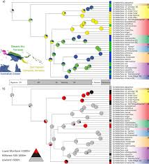 Choisir une plante adulte, en fleur, vigoureuse et qui semble en bonne santã©. Early Insularity And Subsequent Mountain Uplift Were Complementary Drivers Of Diversification In A Melanesian Lizard Radiation Gekkonidae Cyrtodactylus Sciencedirect