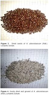 Image result for Aframomum alboviolaceum