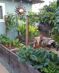 Garden Story On Instagram Direct Contact Me For Advertising Your Product Or Vegetable Garden Design Home Vegetable Garden Home Vegetable Garden Design