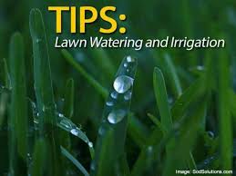 Maybe you would like to learn more about one of these? Lawn Watering And Irrigation Tips Guidelines Schedules And More