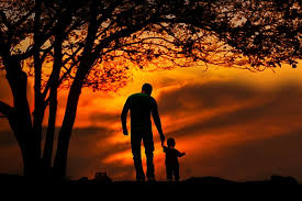 6pm score deals on fashion brands. Hd Wallpaper Silhouette Of Man And Children Under Leaved Tree During Sunset Wallpaper Flare