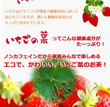 いちごの葉茶 スパイスプラス イチゴの葉にカルダモン等スパイスが入った本格チャイ 紅茶 の通販はau Wowma ワウマ 自然派ストアsakura 商品ロットナンバー 307835511