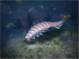 Image result for Osyridicarpos