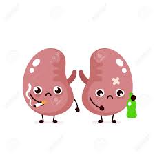 Unhealthy Sad Sick Kidneys With Bottle Of Alcohol And Cigarette Royalty Free Cliparts Vectors And Stock Illustration Image 127405586 Blood exits into the paired renal veins. unhealthy sad sick kidneys with bottle of alcohol and cigarette