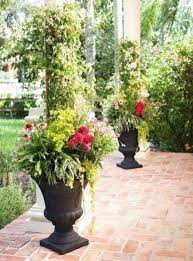 Proper watering requires the plant watered at ground level, so the leaves do not get wet. Garden Design Ideas Landscaping Planters 44 Ideas Container Plants Diy Container Gardening Container Garden Design