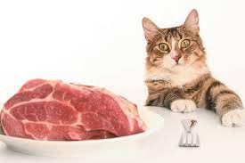 Powdered premix for homemade raw food diet for cats. A Raw Food Diet For Cats What Are The Pros And Cons Catster