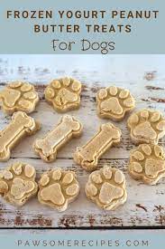 Frozen Peanut Butter Yogurt Dog Treats Pawsome Recipes Recipe In 2022 Sugar Free Peanut Butter Can Dogs Eat Yogurt Peanut Butter Yogurt