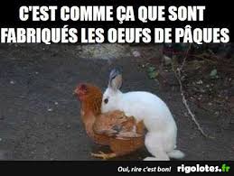 Voir plus d'idées sur le thème drôle, blague drole, blague. Trop Drole Blagues Et Les Meilleures Images Droles