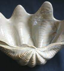 Check spelling or type a new query. 10 Ceramic Clam Shells Ideas Shells Clams Giant Clam