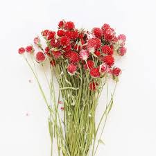 Maybe you would like to learn more about one of these? Our Favorite Sources For Dried Flower Arrangements For Fall Architectural Digest