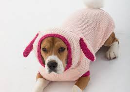 All pdf patterns are sent as an attachment to buyer's email. 12 Dog Sweaters And Other Knitting Patterns For Pups