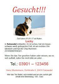 Anschließend wird automatisch anhand ihrer eingegebenen daten ein suchplakat. Vermisste Tiere Hund Oder Katze Wiederfinden Philognosie