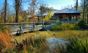 Check spelling or type a new query. Delta Rivers Nature Center Pine Bluff Ar Arkansas Com