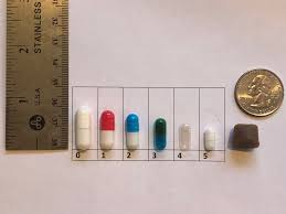 Vegetarian formulations of the capsules are also. Gelatin Capsules And Combining Medications Rudy S Heart
