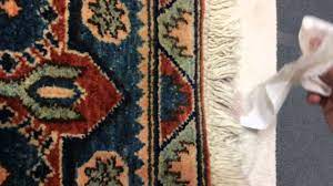We did not find results for: Area Rug Fringe Protected With Fiber Protector Youtube