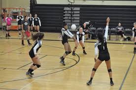 The volleyball series #1 by pam greer paperback $9.99. Pioneer High School Girl S Volleyball