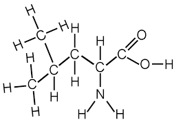 functional groups biology for majors i