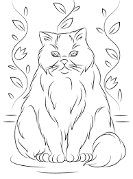 Find images of persian cat. Super Coloring Cat Coloring Page Persian Cat Drawing Cat Coloring Book
