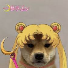 Sailor Moon Funny Anime Pics Anime Kitten Dog Icon