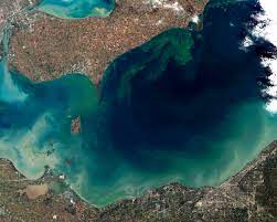 This page teach you the information you need regarding thairath, providing the insights you are looking for. Algal Bloom Wikipedia