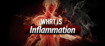 Image result for inflammation
