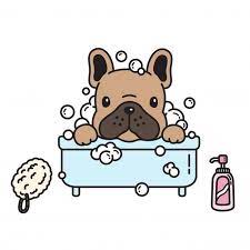 Dog Vector French Bulldog Bath Shower Cartoon Dog Vector Dog Logo Design French Bulldog Cartoon