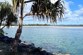 Sunshine Coast News - News update