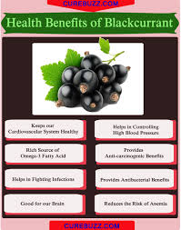 What it is composed of, health benefits, possible side effects, and mostly importantly, how black currant oil can help with hair loss and finally, our top 3 recommendations for thinning hair. 8 Health Benefits Of Blackcurrant Getatoz