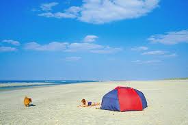 Nordsee ferienhaus mit hund in einem restaurierten bauernhof in idyllischer alleinlage. Hundestrande Die Schonsten An Nord Und Ostsee Geo