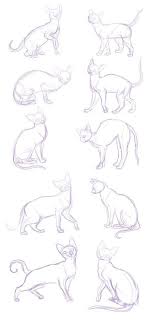 Paint Tool Sai 2 скачать на русском без триала Siamese Looking Cats Every Position You Could Think Of This Is Amazing Art 3 V 2019 G Risunok Risunok Zhivotnyh I Risovanie Eskizov