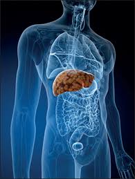 Palliative Care In Liver Disease A Matter Of Life And Death The Lancet Gastroenterology Hepatology