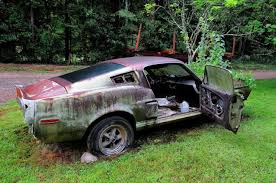 a road trip to an upholstery shop leads us to a 1967 lime gold ford mustang shelby gt500 fastback apparently abandoned and left for dead
